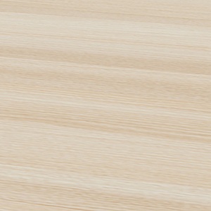 Акация Лэйклэнд светлая