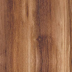 Дуб Барокко янтарный